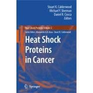 Heat Shock Proteins in Cancer