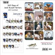 Jack Russell Terriers 365 Days 2007 Calendar