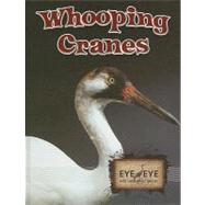 Whooping Cranes