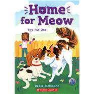 Two Fur One (Home for Meow #4)