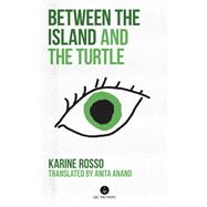 Between the Island and the Turtle