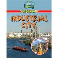 Life in an Industrial City