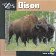 Bison