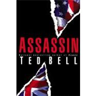 Assassin : A Novel