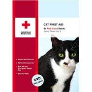 Cat First Aid