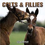 Colts & Fillies 2004 Calendar