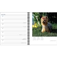 Yorkshire Terriers 2002 Calendar