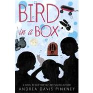 Bird in a Box