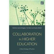 Collaboration in Higher Education