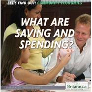 What Are Saving and Spending?