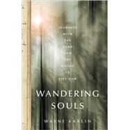 Wandering Souls : Journeys with the Dead and the Living in Viet Nam