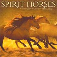 Spirit Horses 2011 Wall Calendar