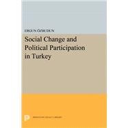 Social Change and Political Participation in Turkey