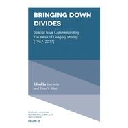 Bringing Down Divides