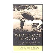 What Good Is God?