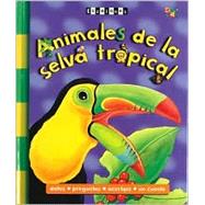 Animales De LA Selva Tropical
