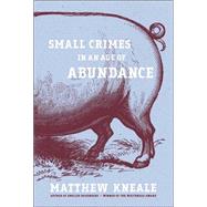 Small Crimes In An Age of Abundance