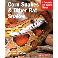 Corn Snakes And Other Rat Snakes