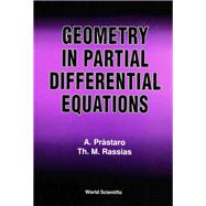 Geometry in Partial Differential Equations