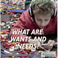 What Are Wants and Needs?