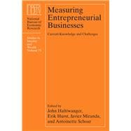 Measuring Entrepreneurial Businesses