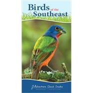 Birds of the Southeast Quick Guide