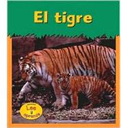 El Tigre / Tiger