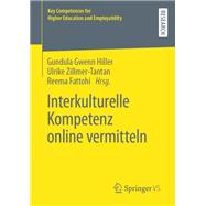 Interkulturelle Kompetenz online vermitteln