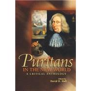 Puritans in the New World