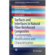 Natural Fibre and Biomass Based Polymer Composites