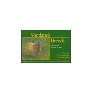 Shetland Breeds 'Little Animals...Very Full of Spirit'