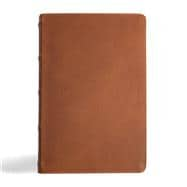 CSB Men's Daily Bible, Brown Genuine Leather