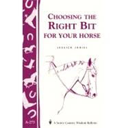 Choosing the Right Bit for Your Horse