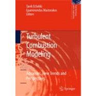 Turbulent Combustion Modeling