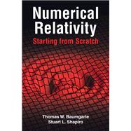 Numerical Relativity: Starting from Scratch