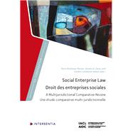 Social Enterprise Law A Multijurisdictional Comparative Review