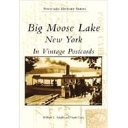 Big Moose Lake