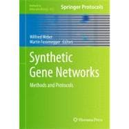 Synthetic Gene Networks