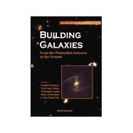 Building Galaxies