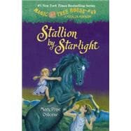 Stallion by Starlight