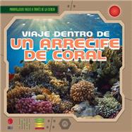 Viaje dentro de un arrecife de coral / A Trip Through a Coral Reef