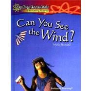 Can You See the Wind?