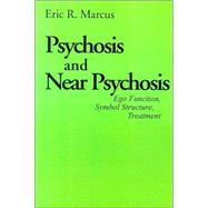 Psychosis and Near Psychosis : Ego Function, Symbol Structure, Treatment