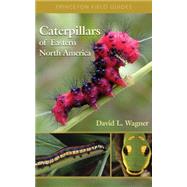 Princeton Field Guides : Caterpillars of Eastern North America: A Guide to Identification and Natural History