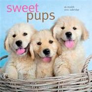 Sweet Pups 2011 Calendar