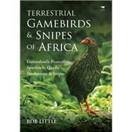 Terrestrial Gamebirds & Snipes of Africa Guineafowls, Francolins, Spurfowls, Quails, Sandgrouse & Snipes