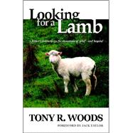 Looking for a Lamb : A Father's Journey up the Mountain of Grief - and Beyond
