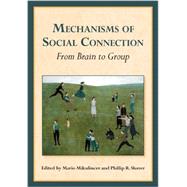 Mechanisms of Social Connection: From Brain to Group