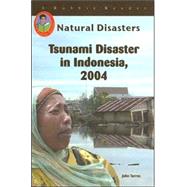 Tsunami Disaster In Indonesia, 2004