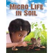 Micro Life in Soil